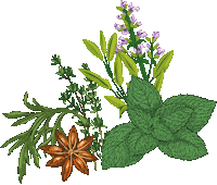 Herbs & Salt