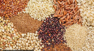Grains & Millets