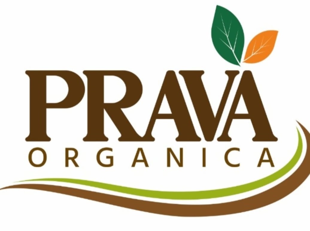 PRAVA ORGANICA