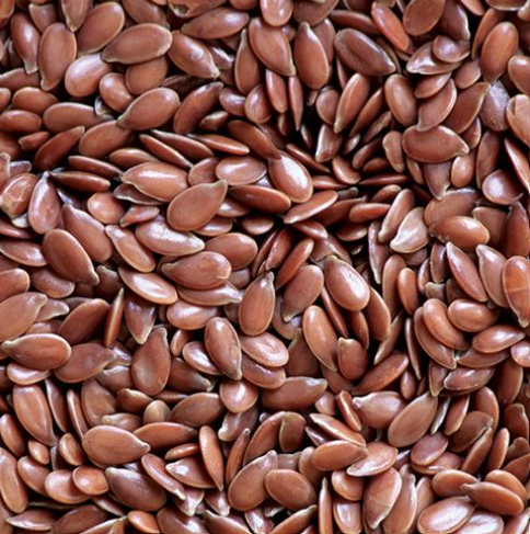 FLAX SEEDS / JAVAS / ALSHI